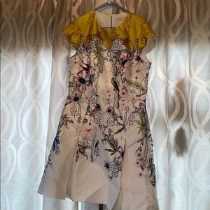 Ted Baker Dress-4